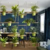 Sound Absorbing Indoor Plants