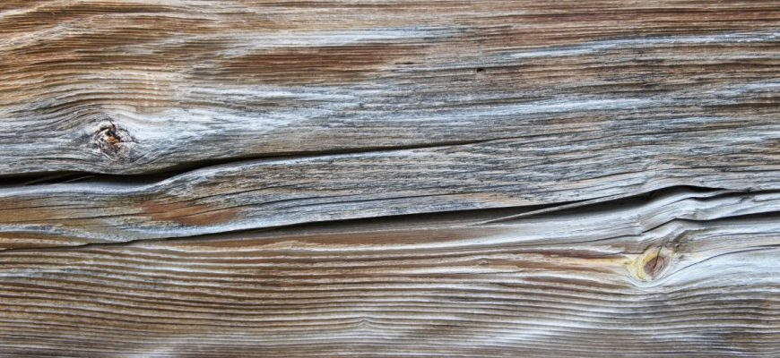 Wood Rot Repair Options