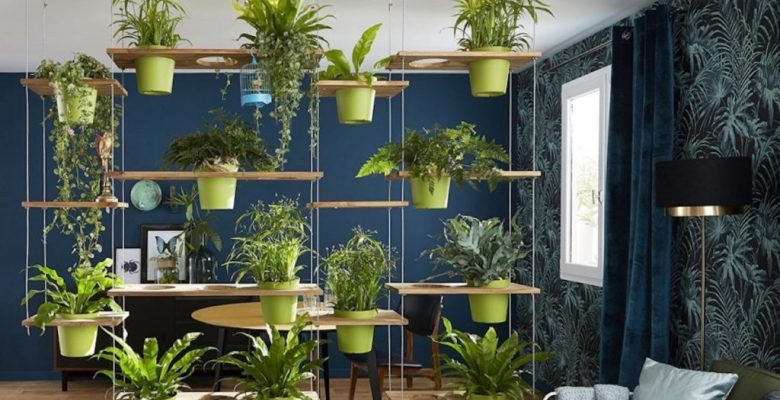 Sound Absorbing Indoor Plants