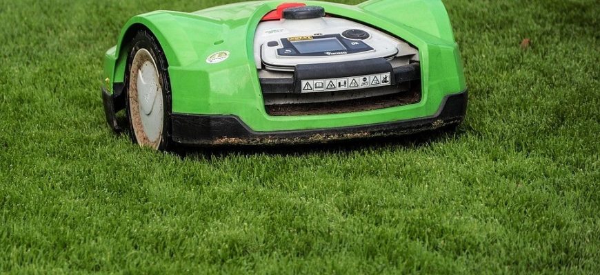 Year Round Lawn Maintenance Tips